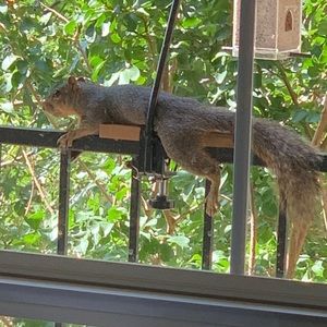 Meet your Posher, Stephen